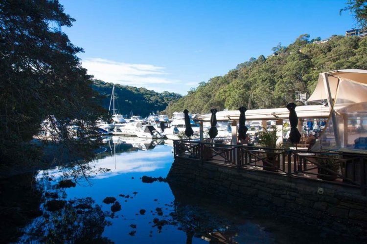 LOCAL HIDDEN GEM Echo on the Marina Willoughby Living