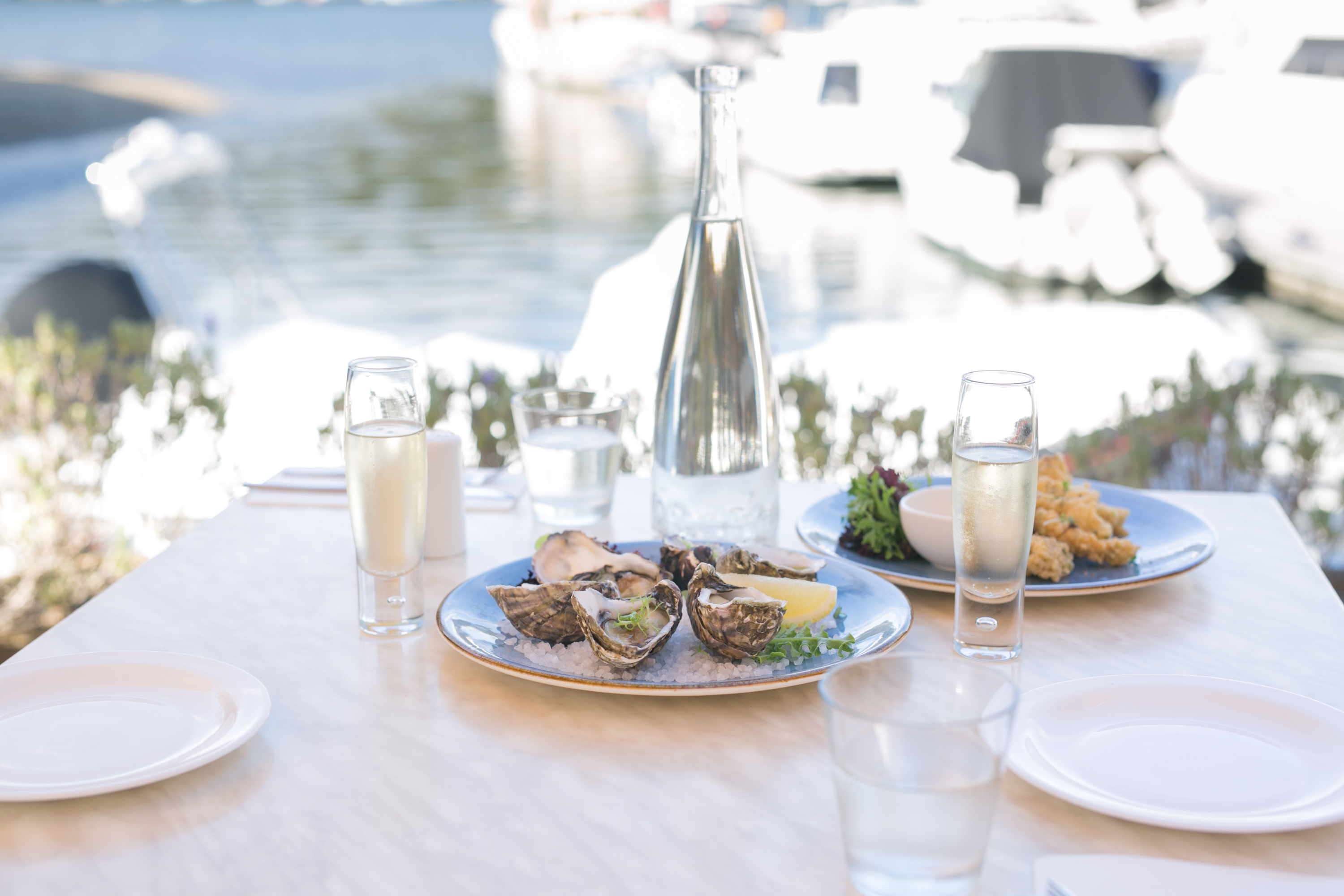 LOCAL HIDDEN GEM Echo on the Marina Willoughby Living