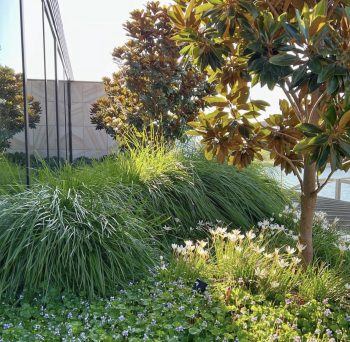 Design-it Landscapes