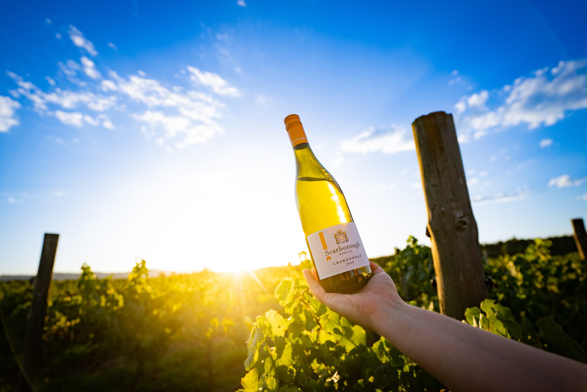 Head to the Hunter Valley this Easter to Experience Scarborough's New