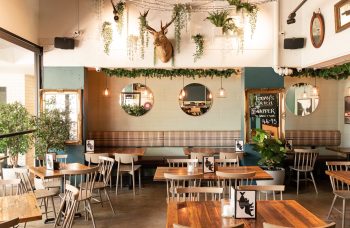 Salmon & Bear – The Fish Eatery Salmon & Bear – The Fish Eatery