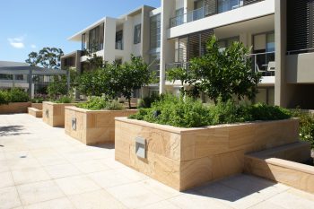 Sydney Garden Maintenance & Landscaping
