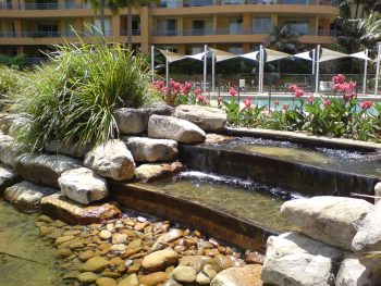 Sydney Garden Maintenance & Landscaping