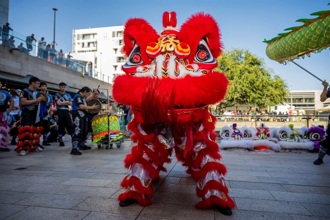 Lunar New Year Celebration Day 2025 - Willoughby Living