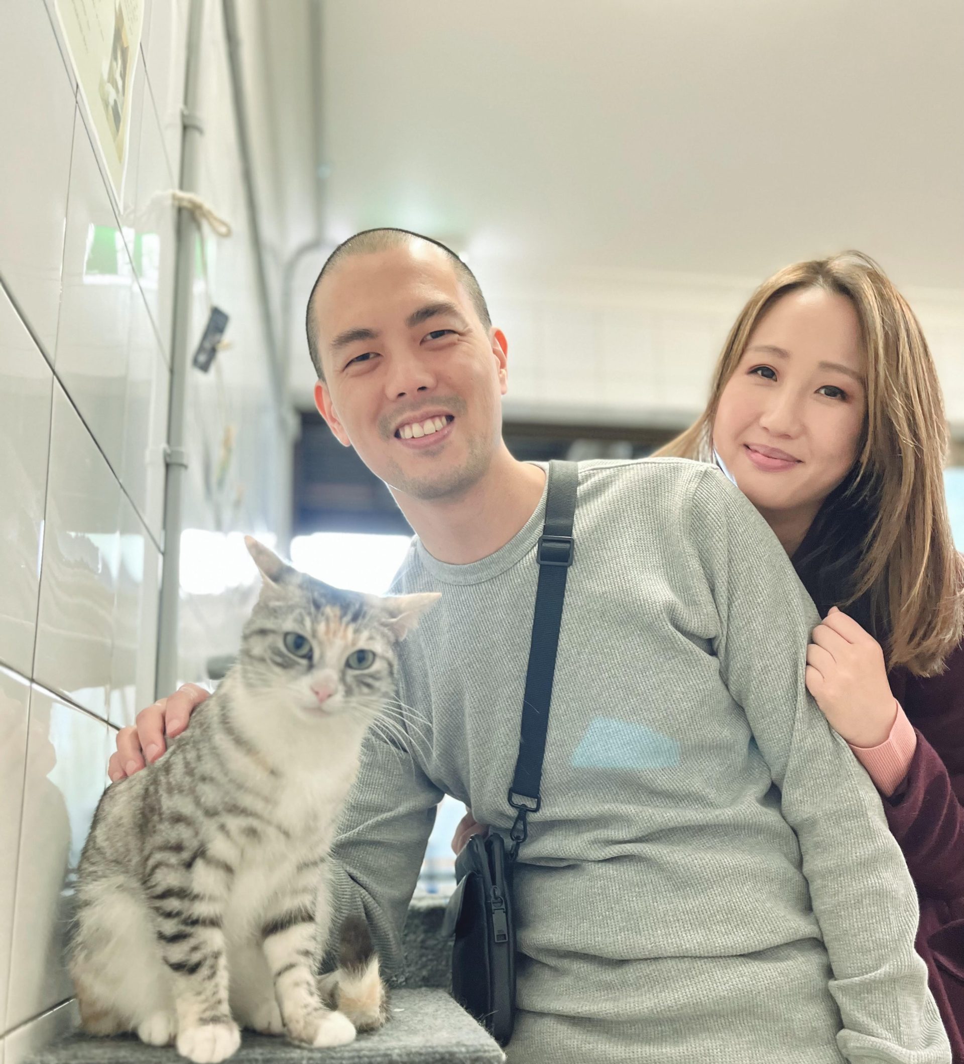 jiji cat cafe rescue