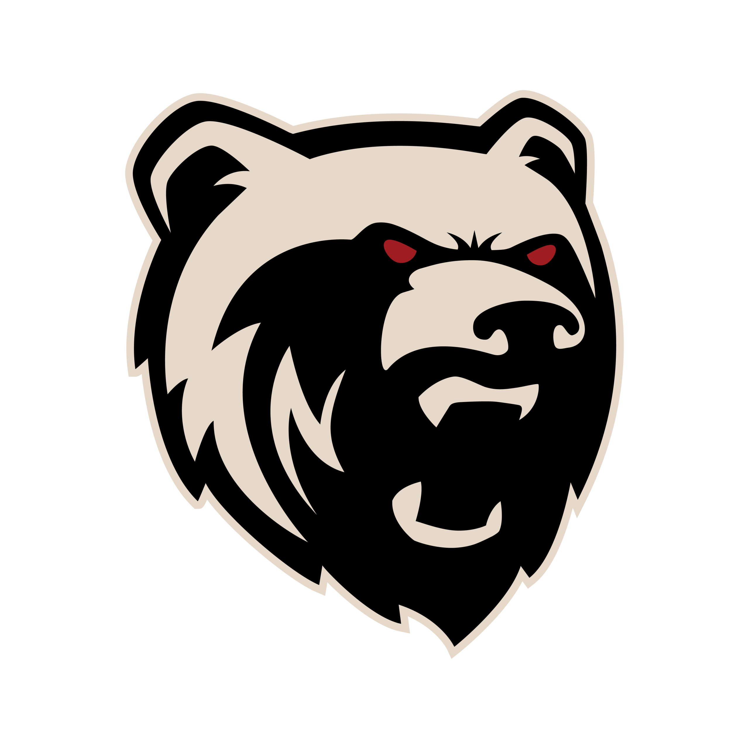 Northern Suburbs Basketball Association