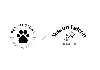 Vets on Falcon