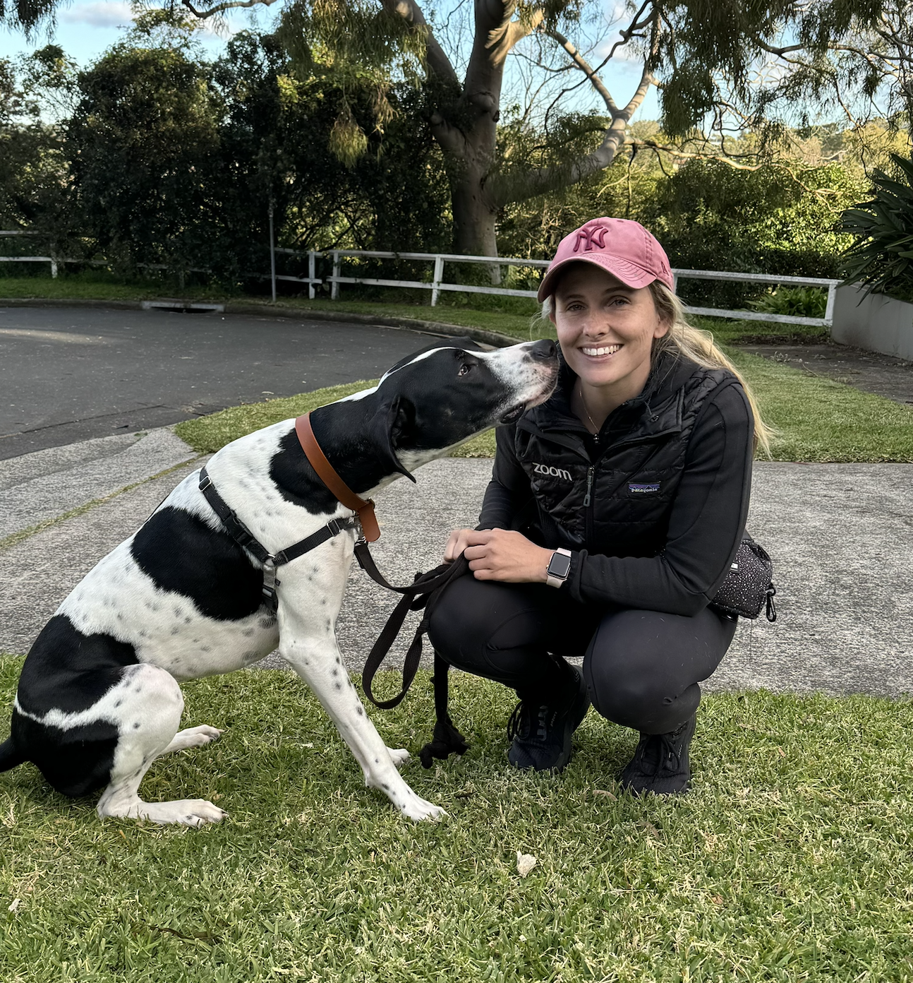 North Paw Dog Behaviour & Training
