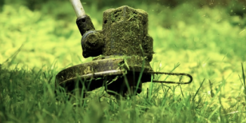 The Lawnfather